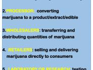 Recreational Marijuana types