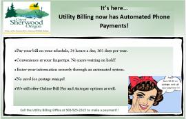 Automated Phone Payments