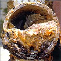 Grease in Sewer Pipe
