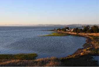A serene coastal landscape with calm waters, a grassy shoreline, and a distant horizon under a clear blue sky.