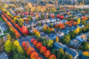 Aerial view of a suburban neighborhood with tree-lined streets in vibrant autumn colors. Rows of houses are surrounded by greenery and colorful foliage.