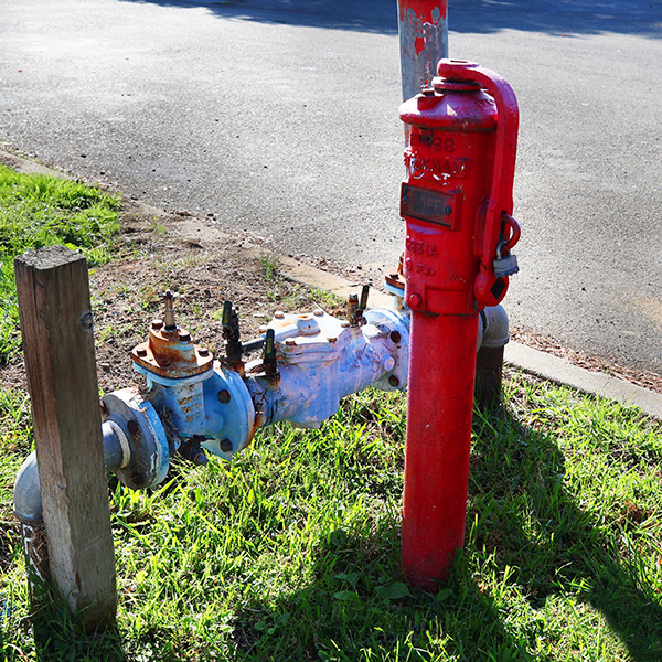 Red fire hydrant next to a blue water valve on a grassy area near a sidewalk.