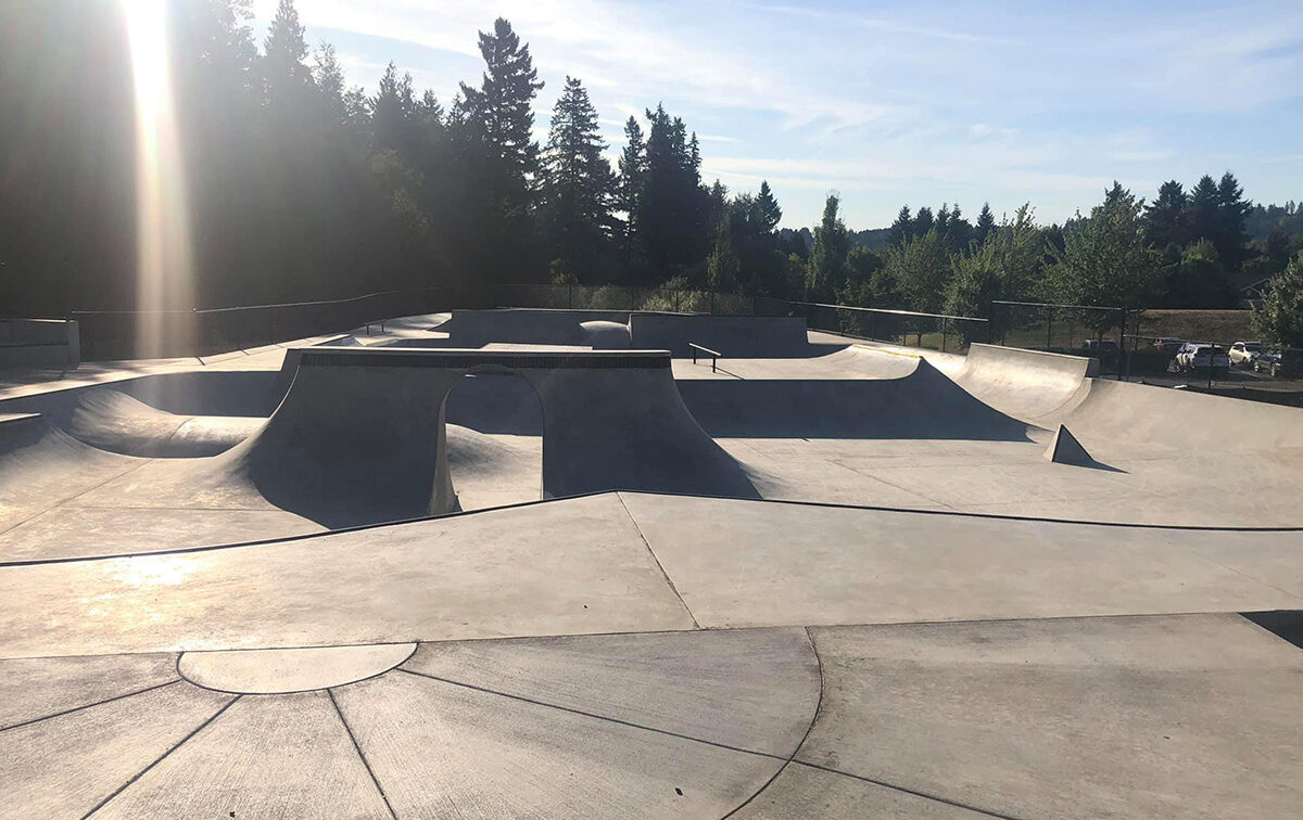 Empty concrete skatepark with various ramps and rails, surrounded by trees under a clear sky. Sunlight creates shadows and highlights across the surface.