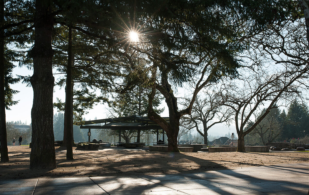 Sunlight filters through tall trees in a park, casting shadows on a paved path. A gazebo stands in the background with a few people around it.