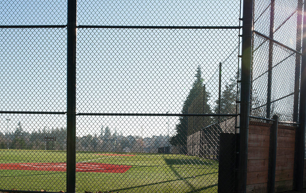 View of a baseball field through a chain-link fence, with visible trees and clear blue sky in the background.