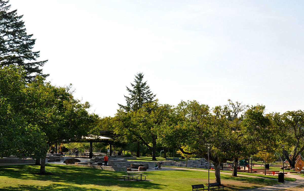 A park with green grass, trees, benches, and a playground. People are scattered around, enjoying the sunny day.