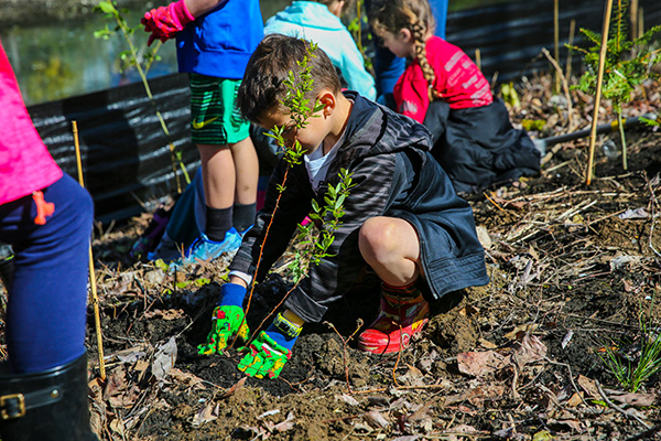 Children wearing colorful gloves plant saplings in a garden area.