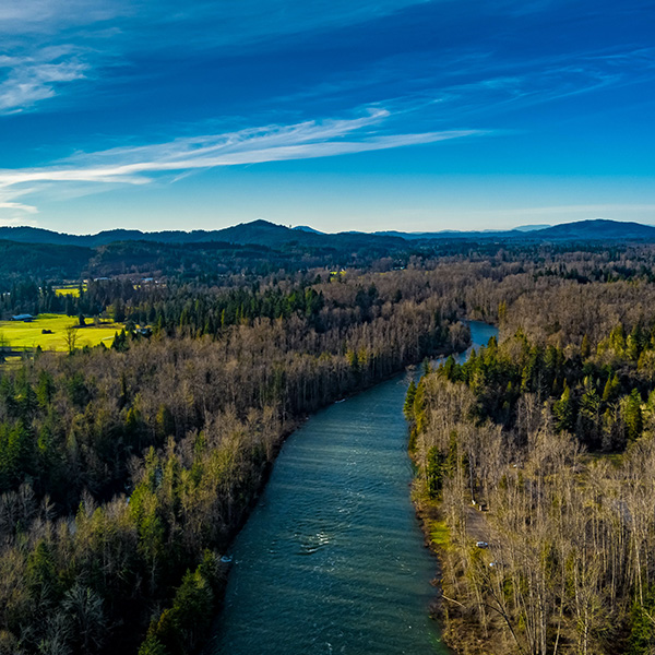 Aerial view of a winding river surrounded by dense trees and open fields under a clear blue sky with scattered clouds.