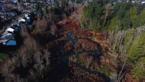 Aerial view of Cedar Creek