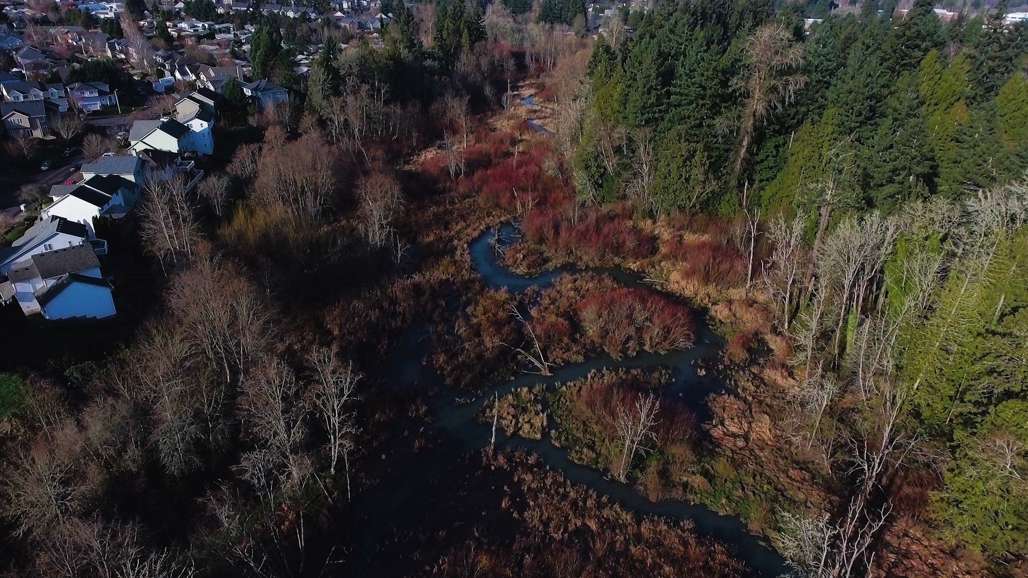 Aerial view of Cedar Creek