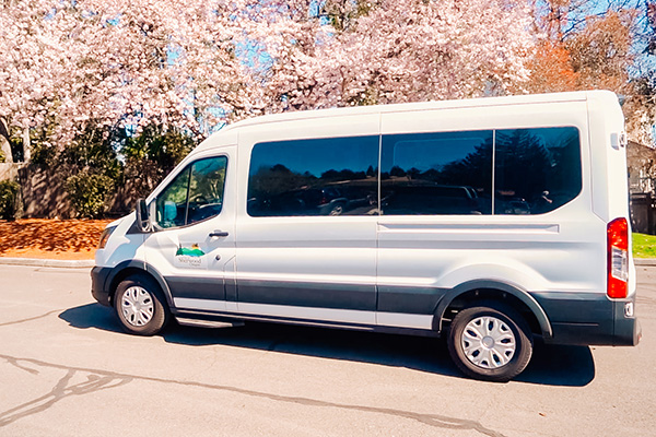 Silver passenger van parked on a street with cherry blossom trees in the background.