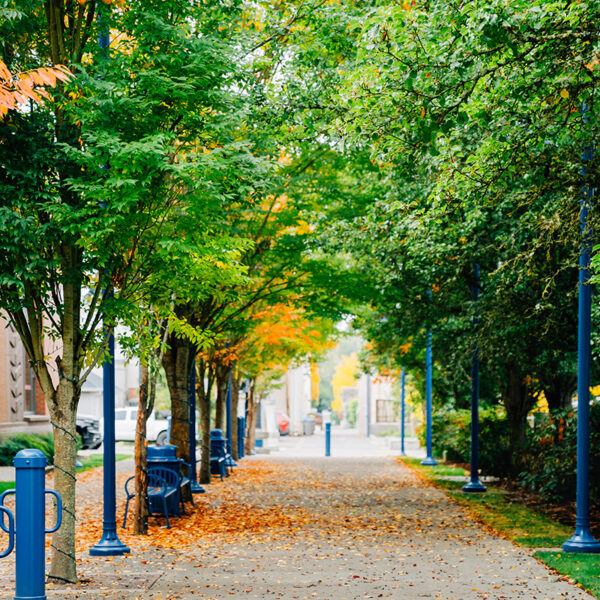 A tree-lined pathway with blue lamp posts and benches, covered in fallen autumn leaves. Buildings are visible in the background.