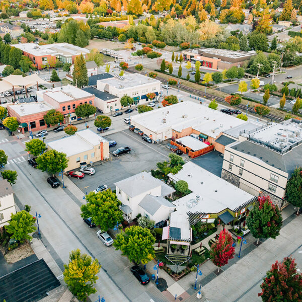 Aerial view of a small town with tree-lined streets, buildings with flat roofs, parked cars, and surrounding greenery.