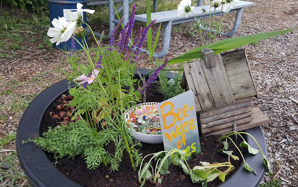 Small garden with blooming flowers and a 