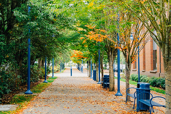 A tree-lined pathway with blue benches and lampposts on both sides. Fallen leaves cover the ground, and a brick building is visible on the right.