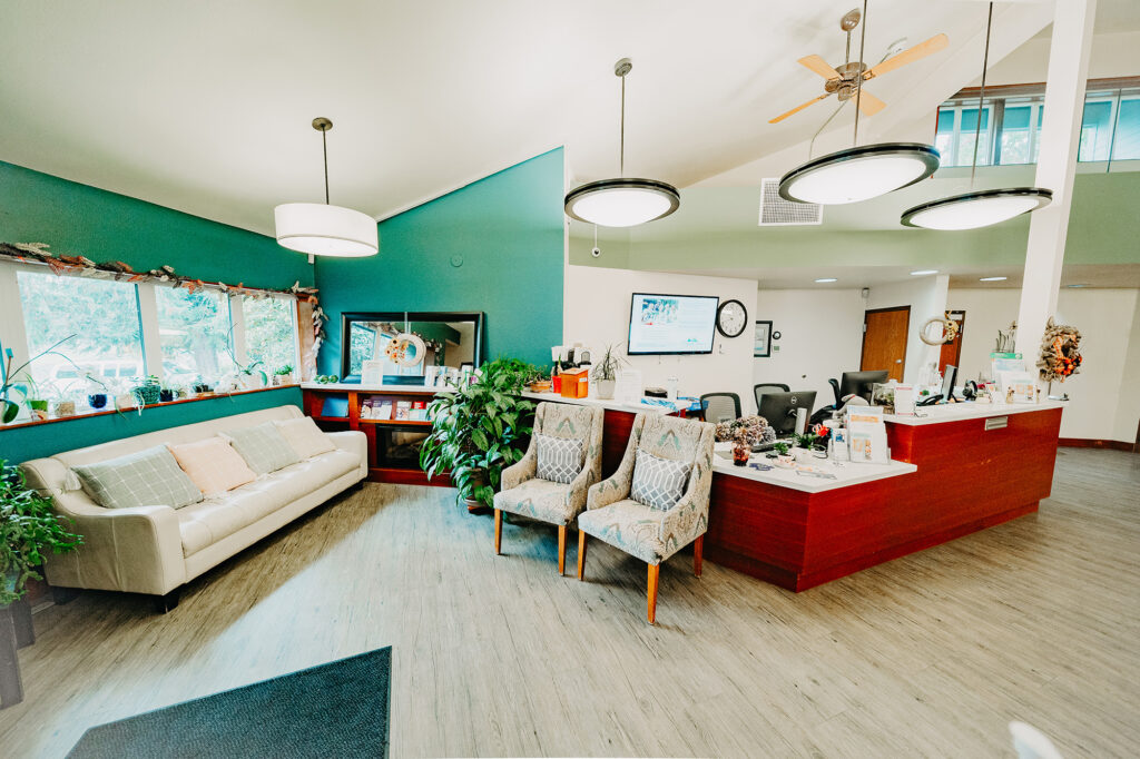 Bright, modern waiting room with a white sofa, two patterned chairs, plants, and a wooden reception desk. Ceiling fans and circular lights above; a television and plants are on display.