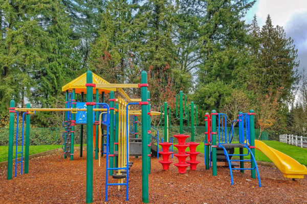 Colorful playground with various equipment, including slides, climbing structures, and monkey bars, set on a woodchip surface with tall trees in the background.