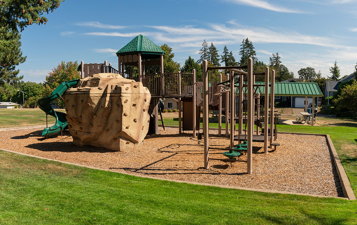 Playground with climbing structures, a green slide, and a play tower on woodchip ground. Surrounded by trees and grass on a sunny day.