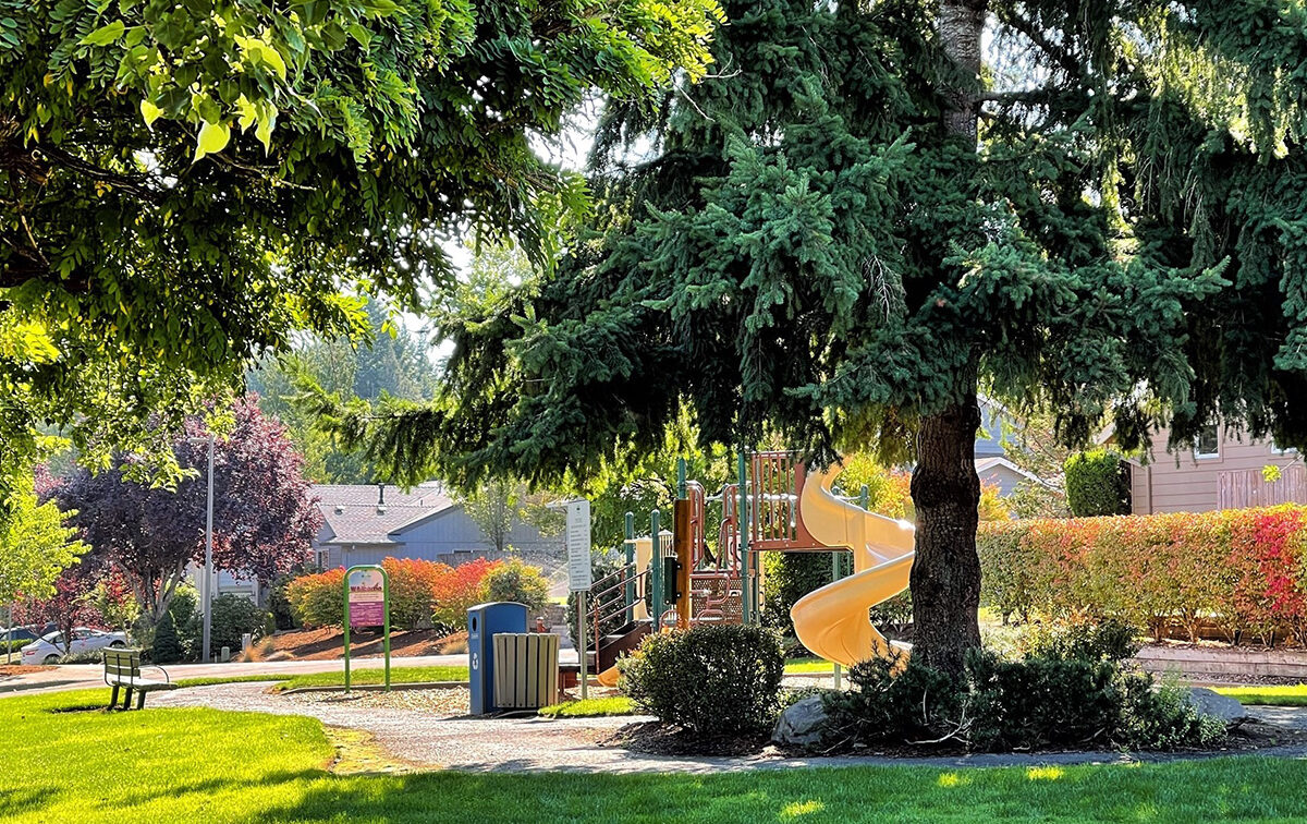 A park with a playground featuring a yellow spiral slide, surrounded by trees, grass, and a bench, with colorful bushes in the background.