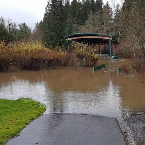 Flooded park with submerged pathway, park benches, and gazebo; surrounding trees and bushes partially submerged.
