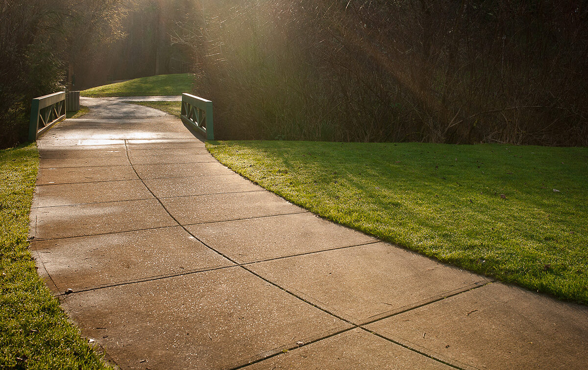 A sunlit path leads to a small bridge surrounded by green grass and trees in a park setting.