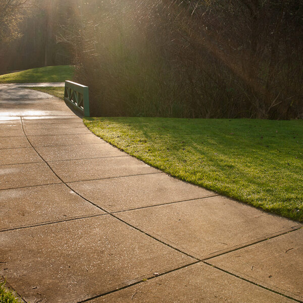 A sunlit path leads to a small bridge surrounded by green grass and trees in a park setting.