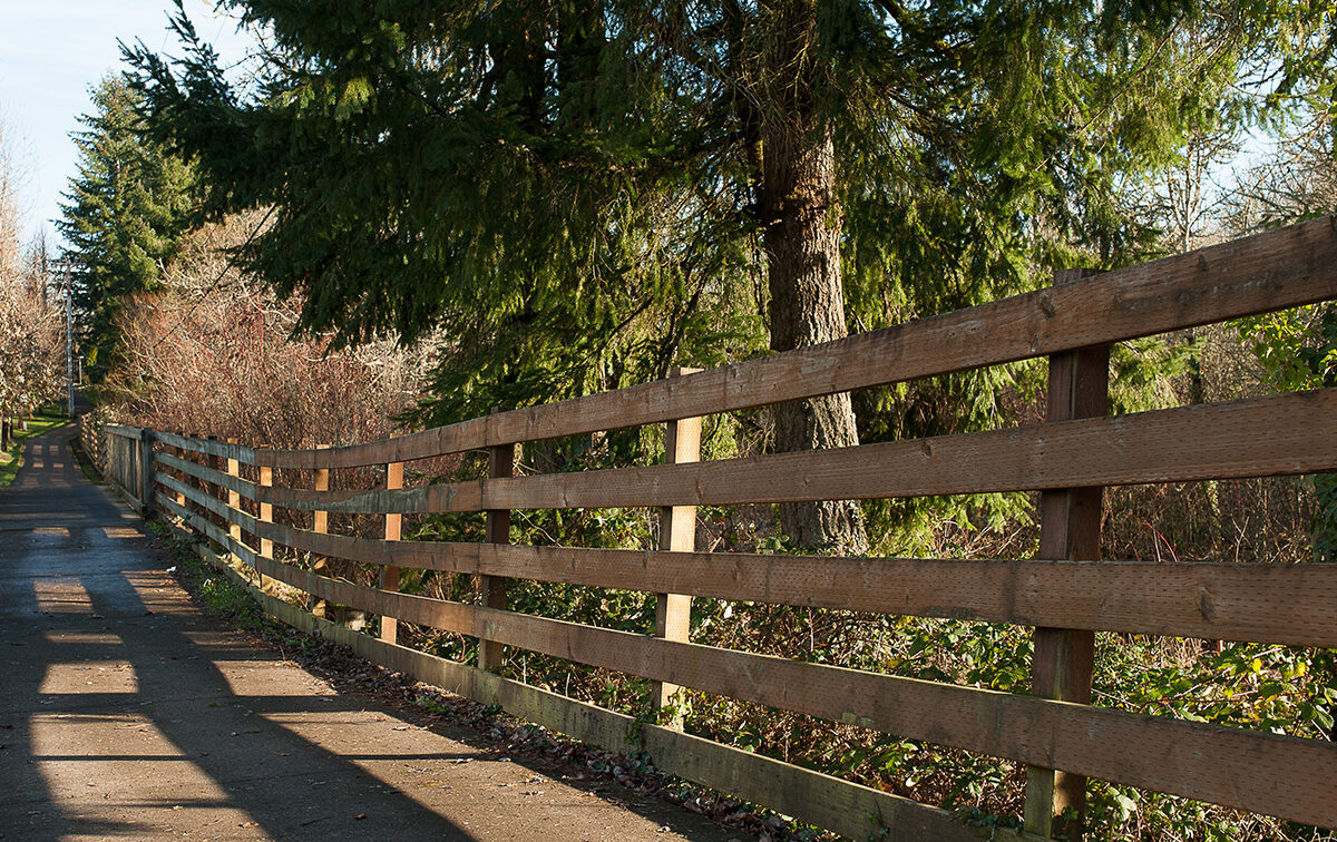 A wooden fence lines a paved pathway with tall evergreen trees and greenery in the background, under a clear sky.