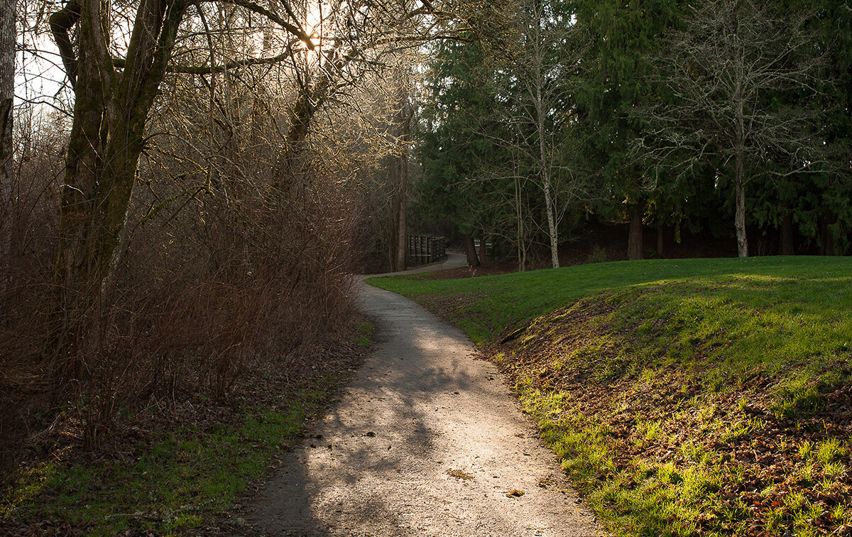 A sunlit path curves through a park with trees and grass, under a clear sky.