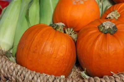 Pumpkins and ears of corn in a woven basket.