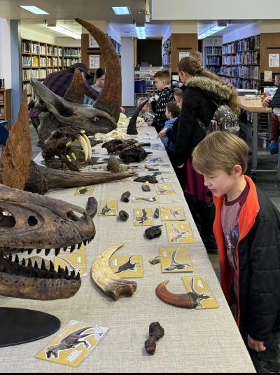 Children observe dinosaur skull models and fossils displayed on a table in a library setting.