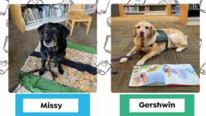 Two dogs in a library. Missy, a black and brown dog, sits on a blanket. Gershwin, a yellow dog wearing a vest, lies beside an open children's book.
