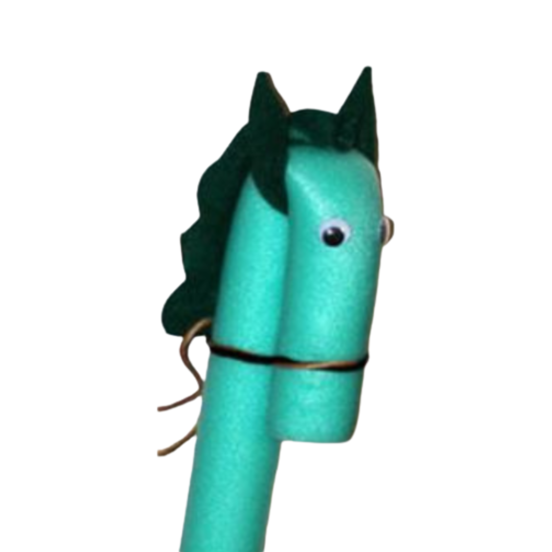 Pool Noodle Pony Races
