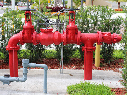 a close up of a fire backflow