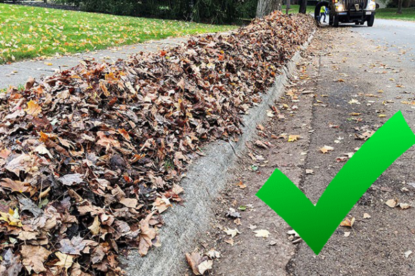 Leaf Pick up