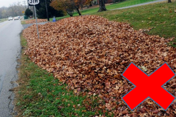 Leaf Pick up