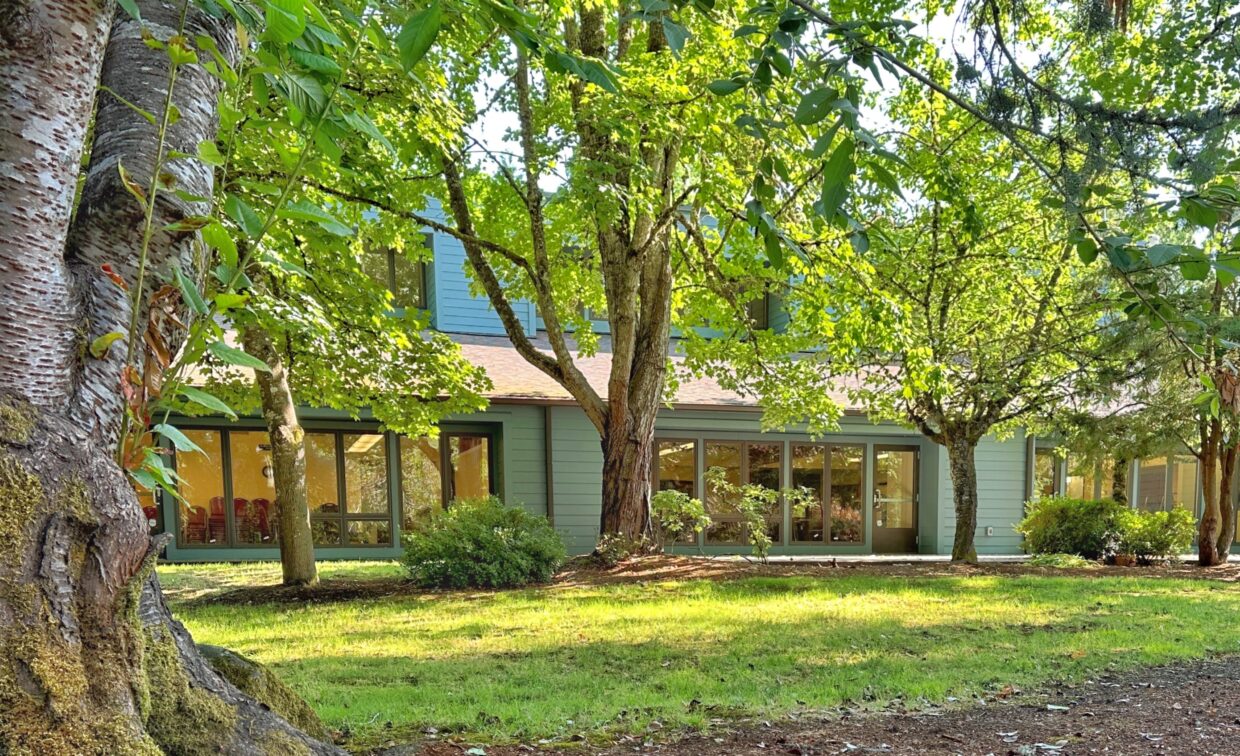 A two-story house with large windows is surrounded by trees and a grassy yard, with sunlight filtering through the leaves.