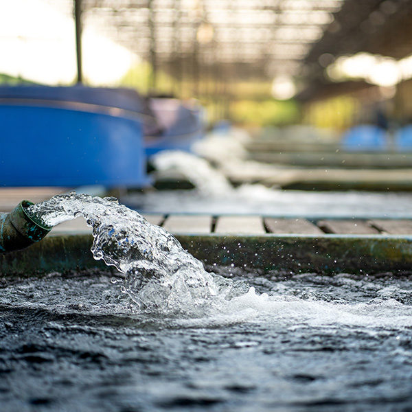 Water flow treatment system from the water pump pipe.