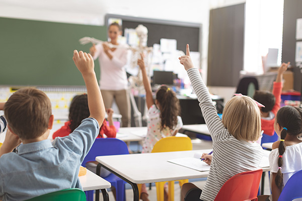 Children sit at desks in a classroom with their hands raised while a teacher stands at the front holding a skeleton model near a chalkboard.