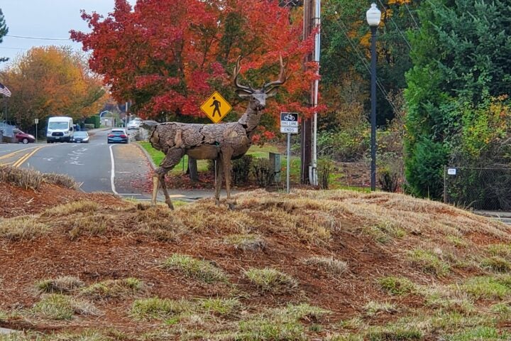 A metal deer sculpture stands on a grassy median near a road with autumn trees, a crosswalk sign, and parked cars in the background.