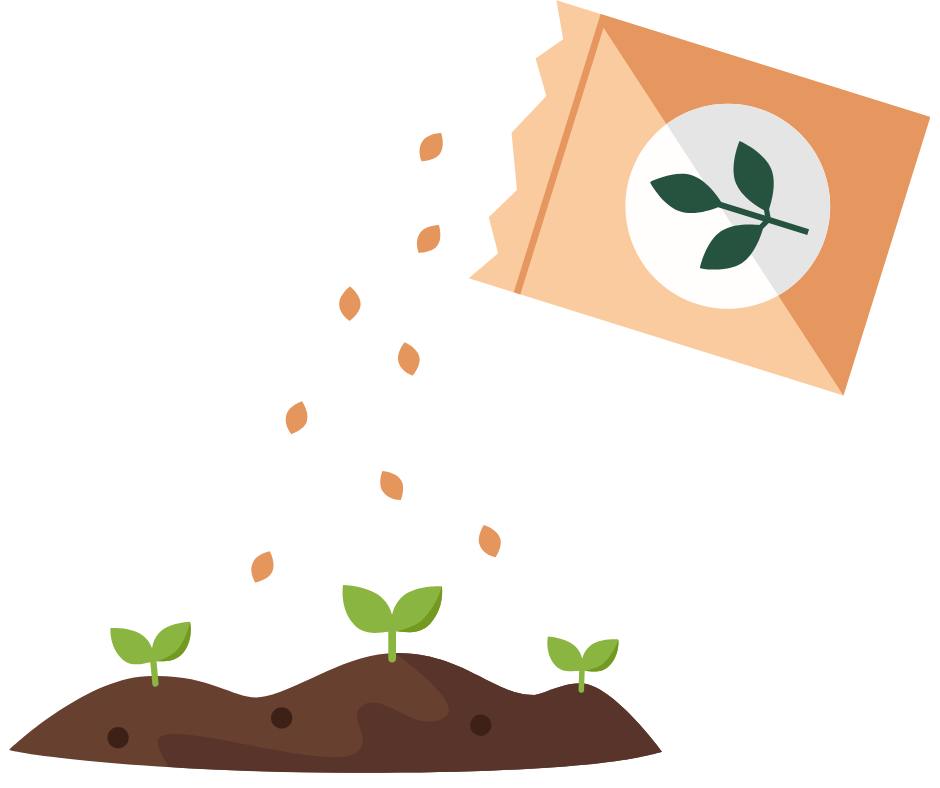 Illustration of seeds being poured from a packet onto soil, with small green seedlings sprouting from the ground.