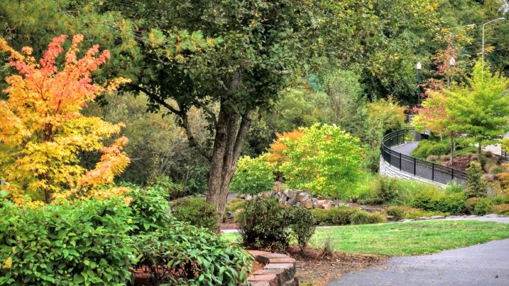 A paved path curves through a park with green grass, trees, and bushes, some showing autumn colors. A metal fence lines part of the walkway.