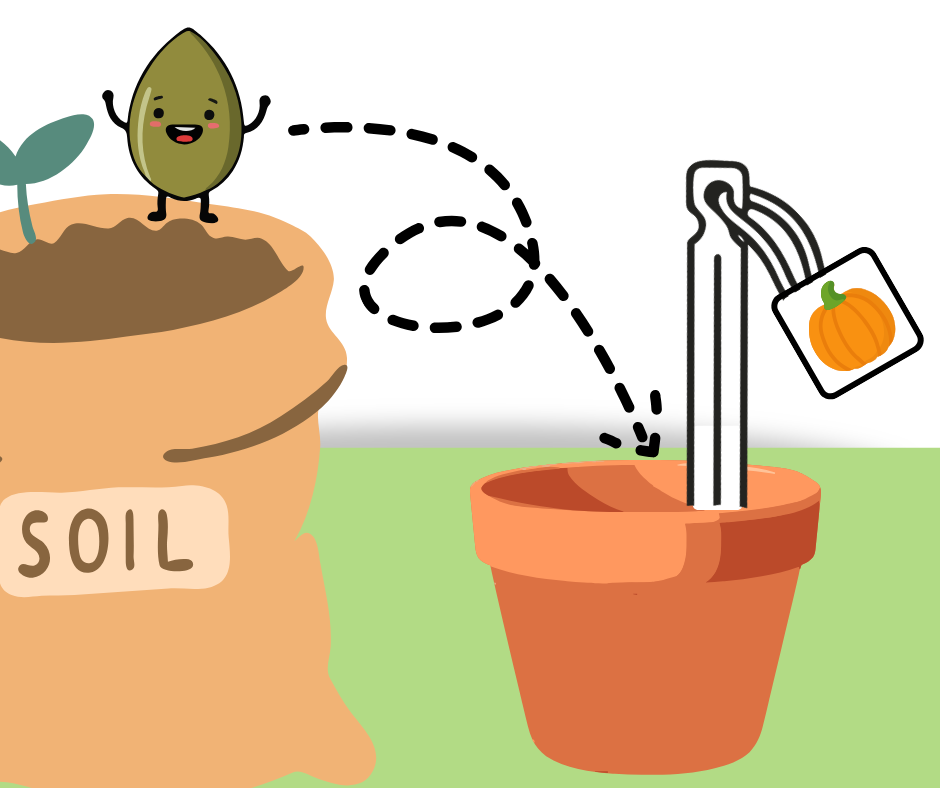 A seed with a smiling face stands in a soil bag, showing it's about to be planted in a terracotta pot labeled with a pumpkin tag.