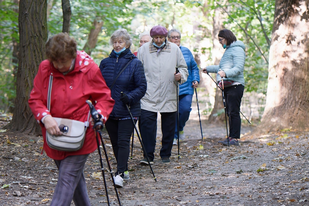 A group of older adults in jackets use walking poles as they hike together through a wooded area on a dirt path.