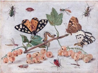A variety of insects, butterflies, and a caterpillar are shown on and around a branch with green leaves and clusters of light pink berries.