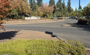 An intersection with a street sign reading “Reinecke” and a shadow of a person holding a camera in the foreground.