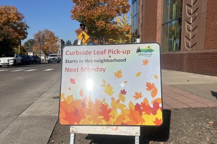 A sign on a sidewalk reads: “Curbside Leaf Pick-up Starts in this neighborhood Next Monday,” with the City of Sherwood, Oregon logo and a graphic of falling autumn leaves.