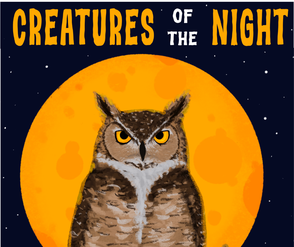 Illustration of an owl in front of a full moon with the words “Creatures of the Night” in bold yellow letters at the top, against a dark starry sky background.